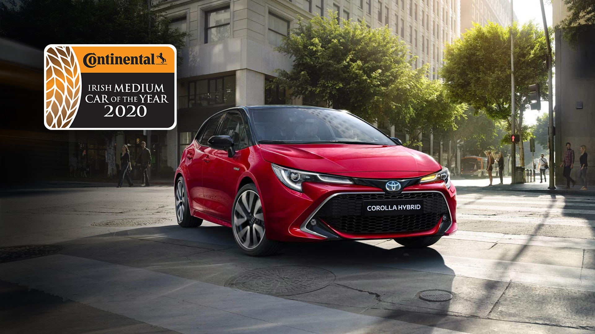 2. Medium Car – ICOTY 2020 Winner